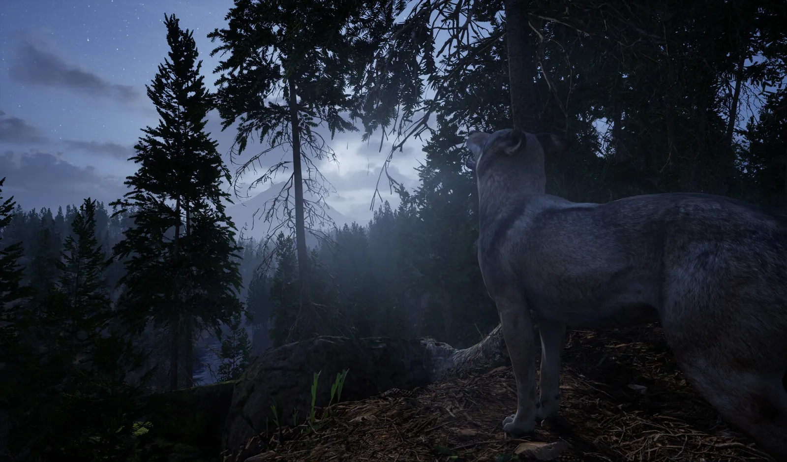 Online 404 FAQ: Release, Platforms, Demo, Price