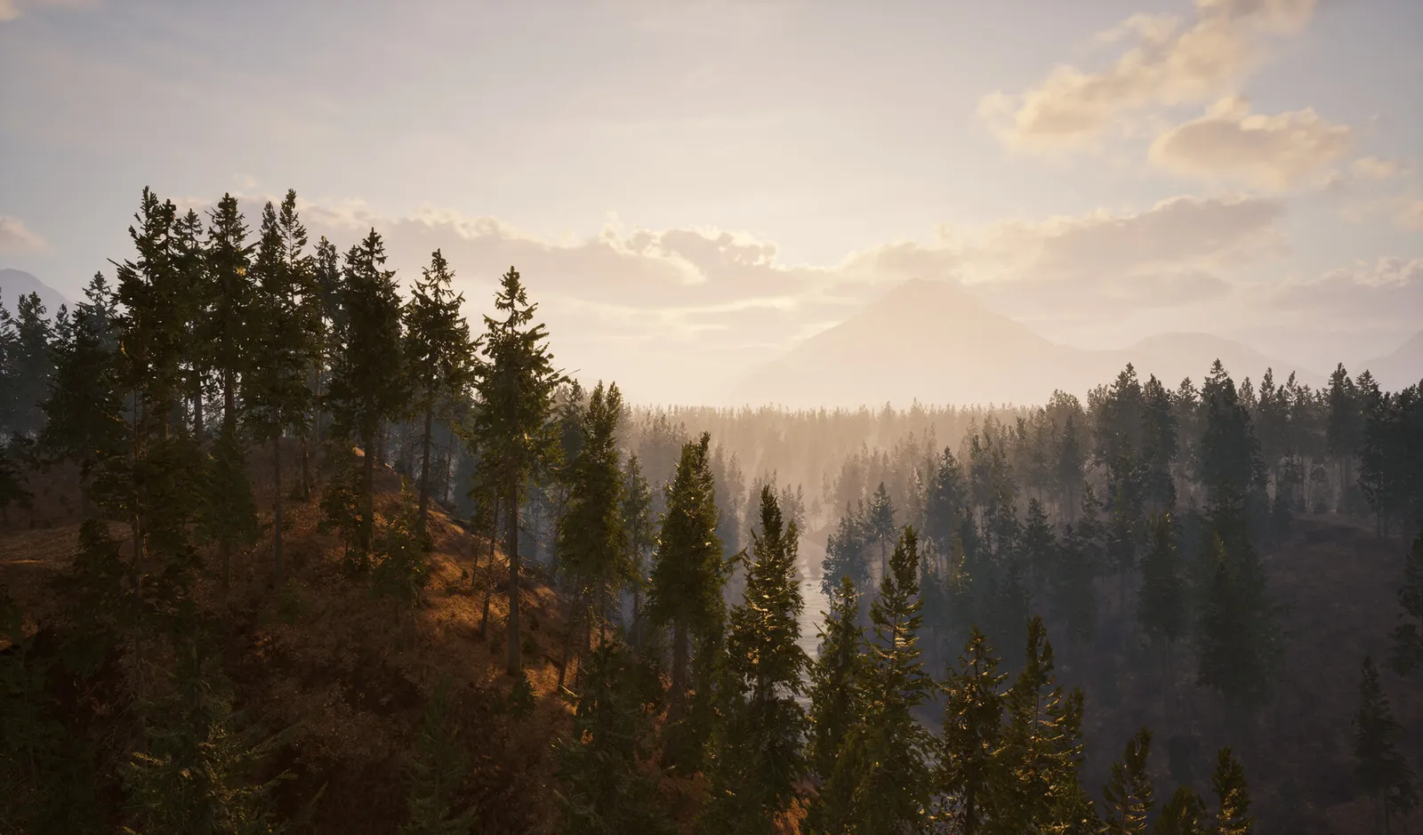 Online 404 Release Date: Oct 16, 2026 Early Access